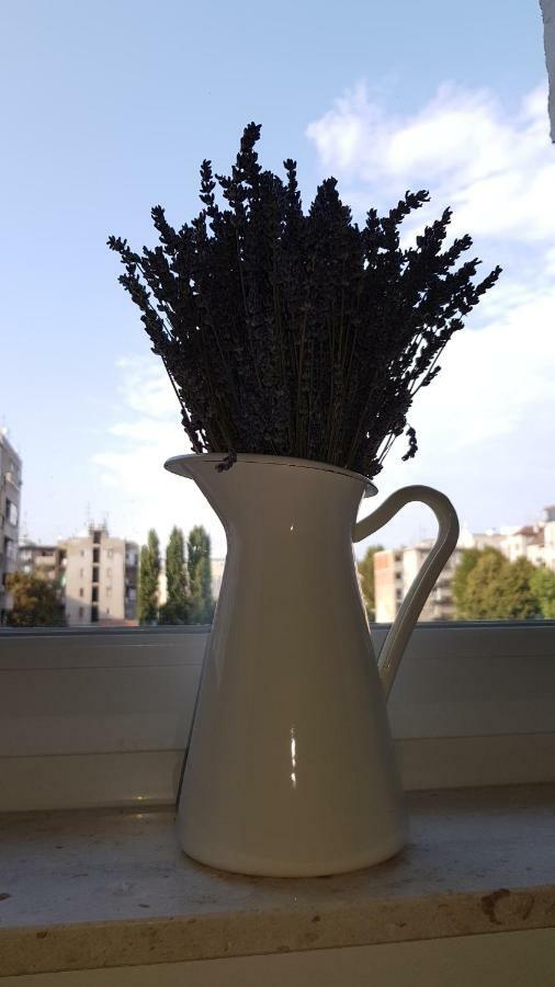 זאגרב Citylux Apartments מראה חיצוני תמונה