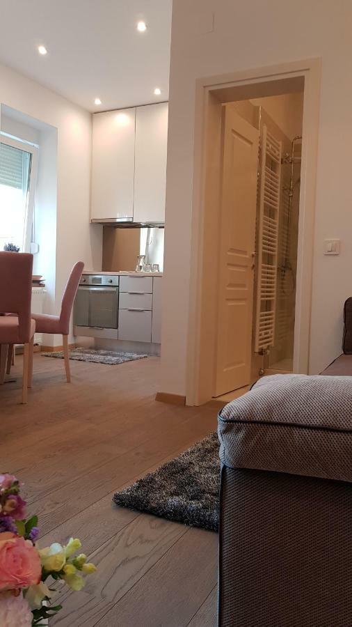 זאגרב Citylux Apartments מראה חיצוני תמונה
