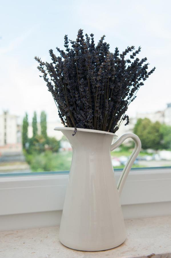 זאגרב Citylux Apartments מראה חיצוני תמונה